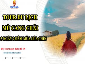 tour-du-lich-mu-cang-chai-3-ngay-2-dem-mua-lua-chin9