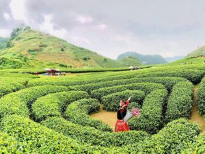 tour-du-lich-tay-bac-ha-noi-moc-chau-son-la-dien-bien-4-ngay-3-dem